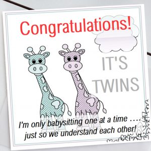 Twins Baby Sitting Card