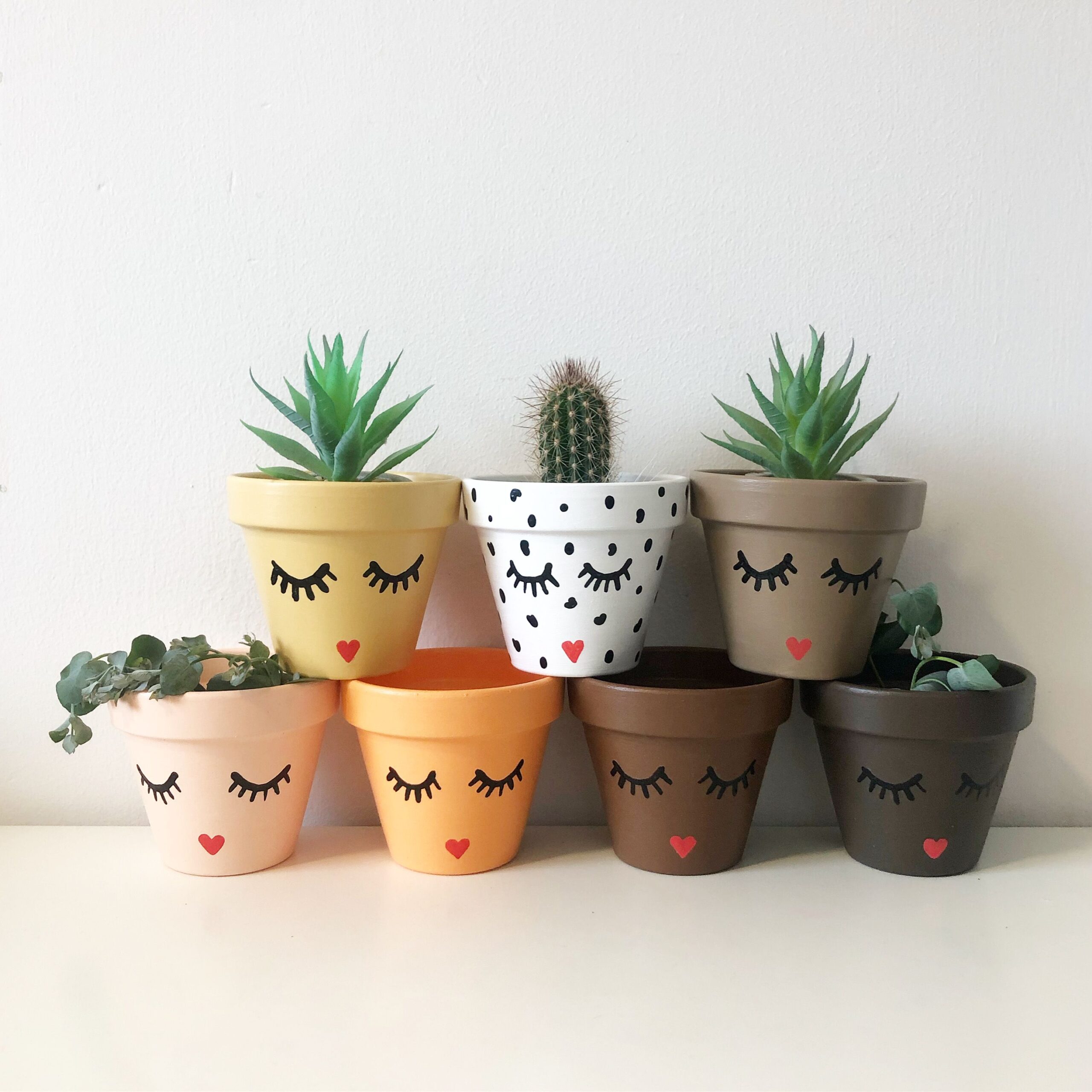 ** Plant Pot Buddies - Capstone Park - £8 - 5+